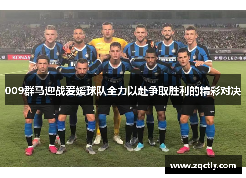 009群马迎战爱媛球队全力以赴争取胜利的精彩对决