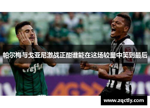 帕尔梅与戈亚尼激战正酣谁能在这场较量中笑到最后