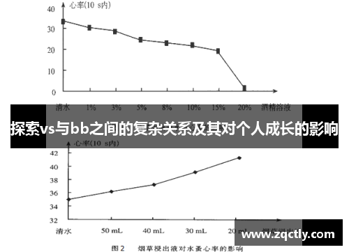 探索vs与bb之间的复杂关系及其对个人成长的影响